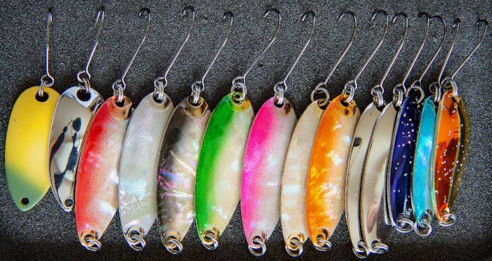 Different trout spoons laid out