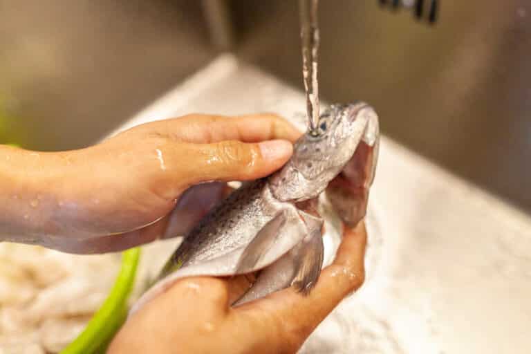 A human washes a fresh fish under water